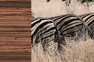 Artikel lesen Artikel lesen